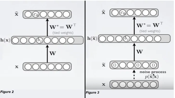 Figure 2: Autoencodeur classique Figure 3: Denoising Autoencodeur. La couche  bruitée permet de prendre obligatoirement en  compte le bruit possible des données.