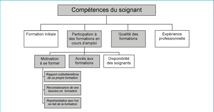 Figure 7. Compétences du soignant.