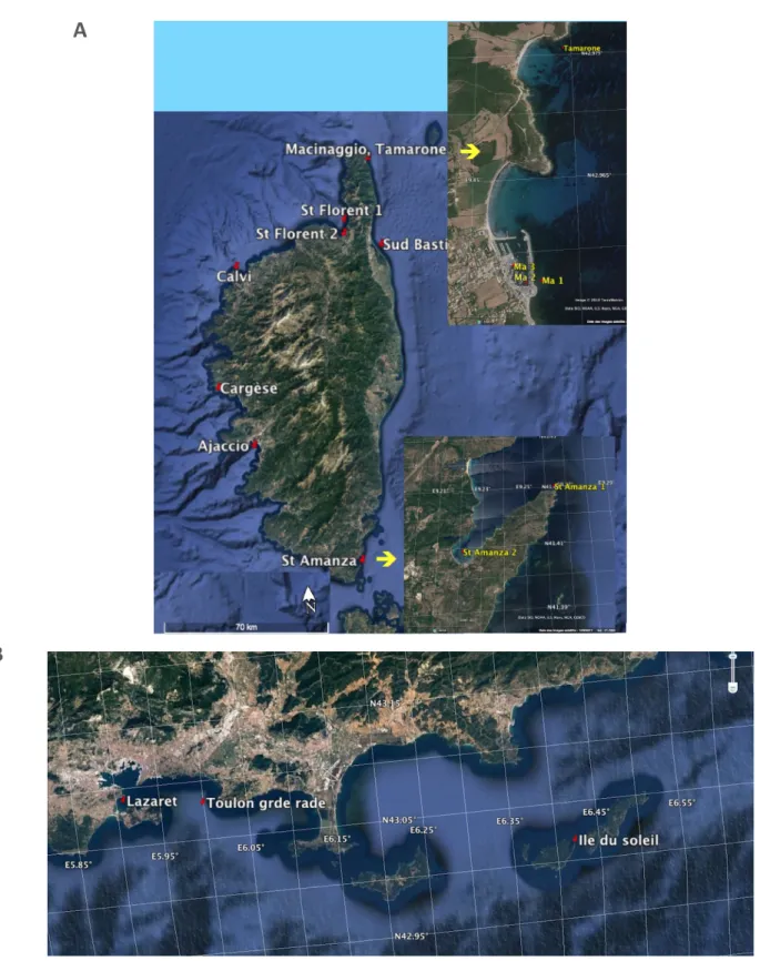 Figure 4. Points de prélèvement pour la définition d’un indice de composition phytoplanctonique :  eaux côtières corses (A) et région P ACA  (B)