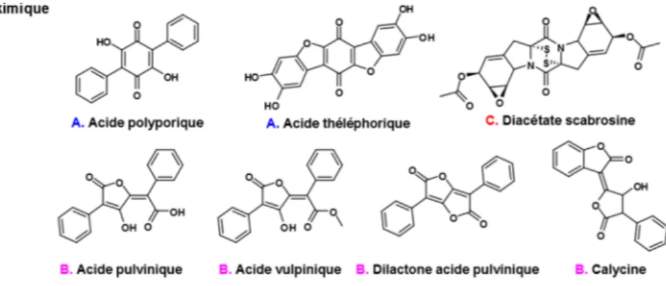 Figure 5. Types de composés appartenant à la voie de l’acide shikimique 
