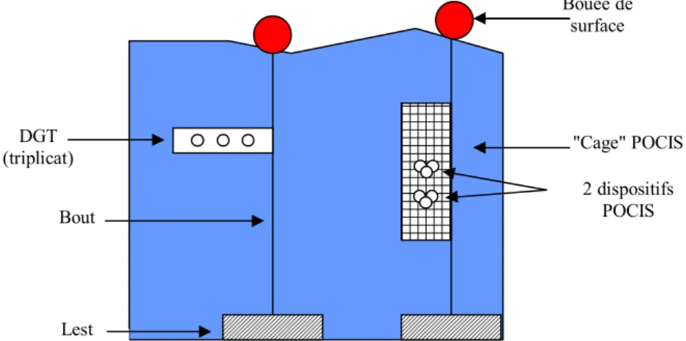 Figure 9. Illustration de la structure de mouillage des DGT et POCIS. 