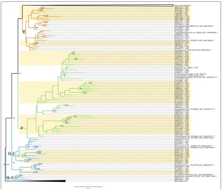 Fig. 2  Expanded basal part of the constrained rRNA phylogeny of Oxyphotobacteria, with clusters E, F, G1 and G2