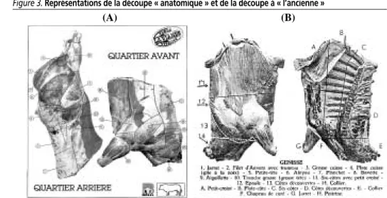 Figure 3. Représentations de la découpe « anatomique » et de la découpe à « l’ancienne »