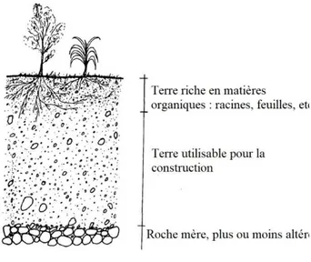 Fig.  9.  Coupe  dans  la  couche  de  terre  (Guérin, 1985, modifié).