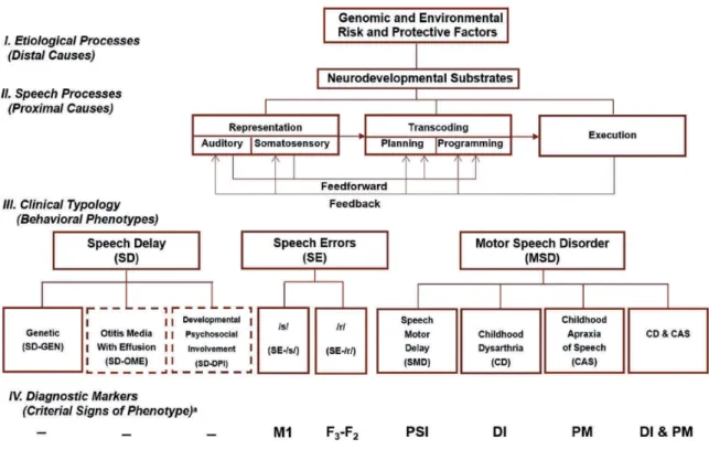 Figure 1 : système de classification des TDSP proposé par Shriberg (2019) : SDCS (Speech Disorder Classification System)