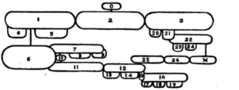 Figure 12 – Inscription graphique des règles de Clark (1847: 19)