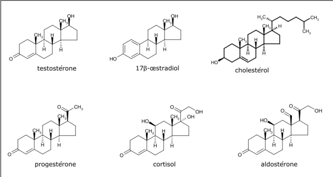 Figure 1 : structures chimiques des molécules de cholestérol et de quelques hormones stéroïdes