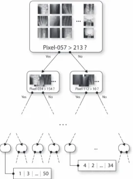 Fig. 3 Indexing subwindows with one single tree.