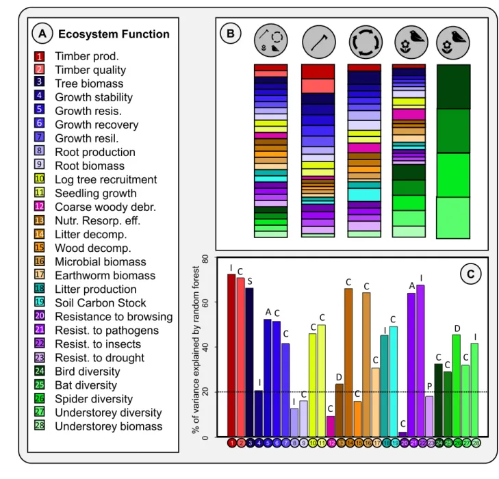 Figure 1. A: Ecosystem functions included in this study, with the colours and numbers referring 714 