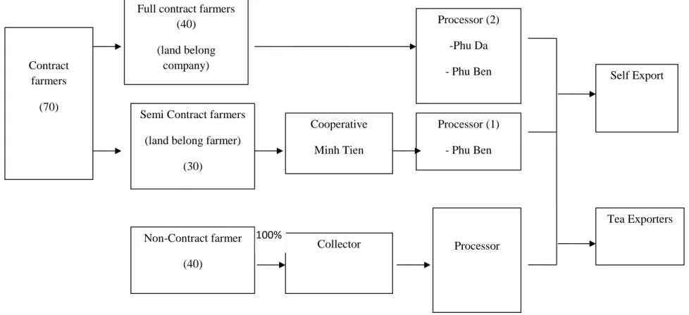Figure 1: Marketing Channels of Black Tea in Phu Tho Province Contract 