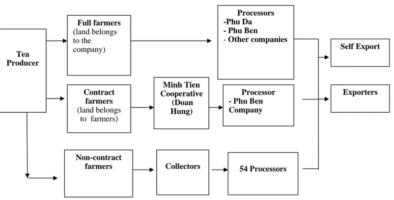 Figure 2.22. Black tea value chain in Phu Tho provinceFull farmers (land belongs to the company)  Processors  -Phu Da - Phu Ben  - Other companies Tea Producer Non-contract farmers  Self Export Exporters  Contract farmers (land belongs to  farmers) Collect