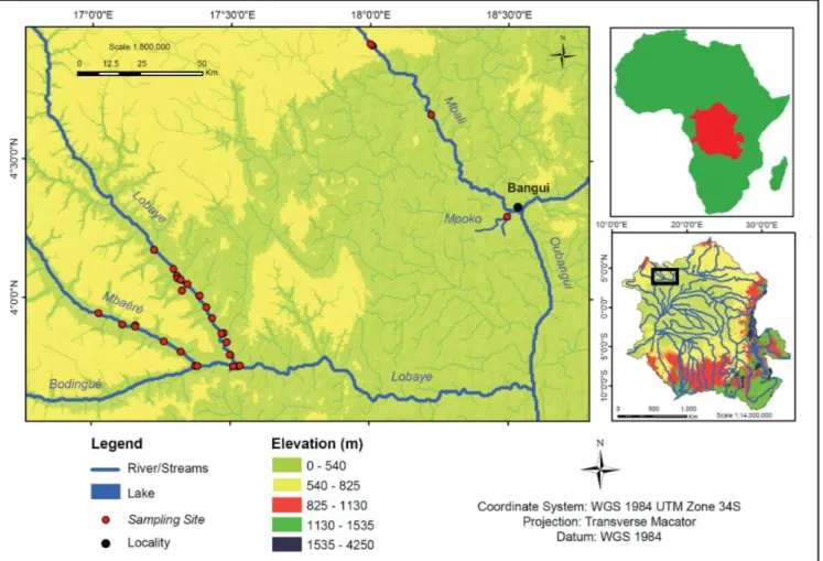 Figure 1 | Map showing the location of the Oubangui within the Congo Basin, and detailed map showing the tributary sampling sites (note that some sites represent small first order tributaries)