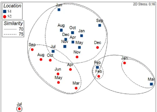 Figure 7. MDS of phytoplankton assemblages of Calvi (S1, in blue) and Bastia (S2, in red)  coupled  to  a  cluster  analysis