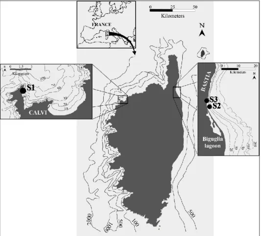 Figure 1. Location  of  Corsica  Island,  representation  of  the  vertical  asymmetry  in  bathymetric  profile  (according  to  French  Navy’s  Hydrographic  and  Oceanographic  Department  (SHOM)  map,  Western  Mediterranean),  and  maps  of  the  stud