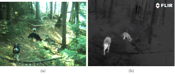 Figure 2.1 – Comparaison d’images obtenues à l’aide de caméras visible et infrarouge