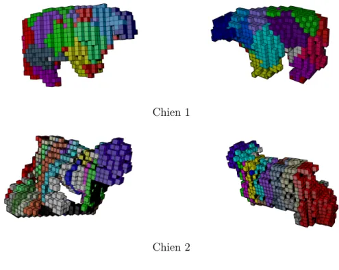 Figure 3.6 – Agrégation de voxels de modèles 3D de chiens