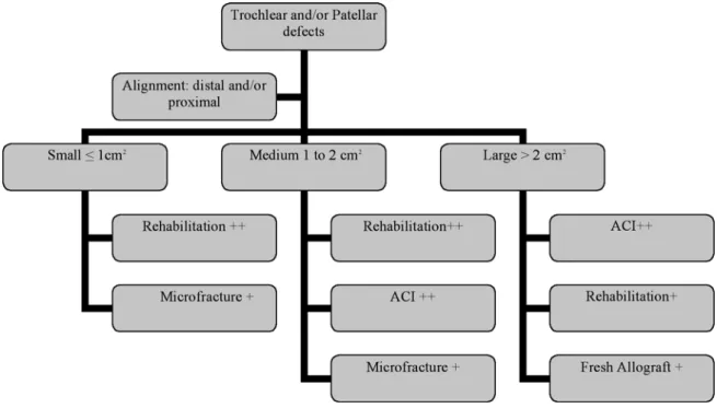 Fig. 2. — Patellar and trochlear cartilage treatment algorithm
