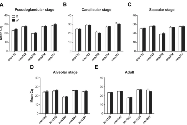Figure S1: Comparison of expression levels of putative housekeeping genes in the mouse  developing lung and the adult lung