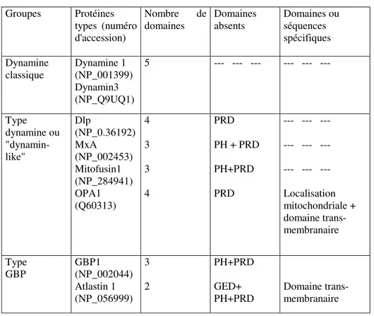 Tableau 1. Classification de la superfamille des dynamines.   Groupes  Protéines  types  (numéro  d'accession)  Nombre  de domaines   Domaines absents  Domaines ou séquences  spécifiques  Dynamine  classique  Dynamine 1  (NP_001399)  Dynamin3  (NP_Q9UQ1)  