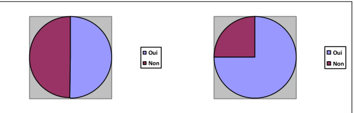 Graphique n°14 : Implication apparente des élèves 