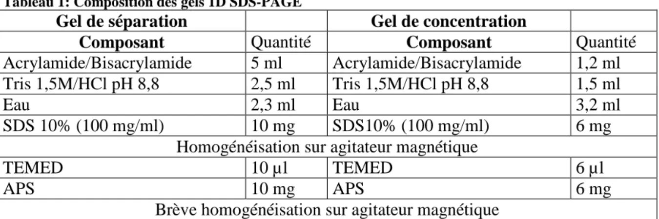 Tableau 1: Composition des gels 1D SDS-PAGE 