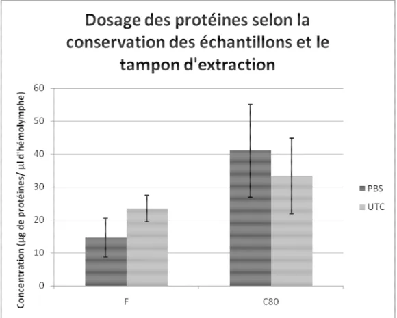 Figure 9: Dosage des protéines selon la conservation des échantillons et le tampon d'extraction 