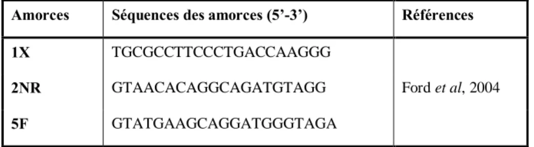 Tableau II-4 :  Amorces  utilisées  pour  l’amplification  de  la  région env  du  génome  du  virus  MMTV-like