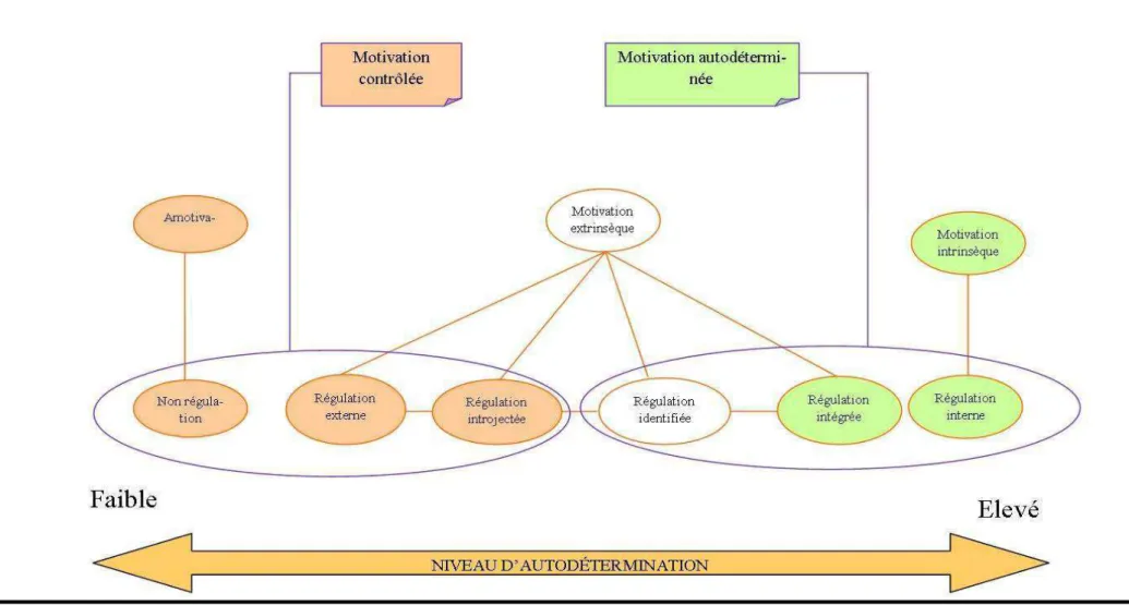 Figure 3 :  Types de motivation et de régulation dans le cadre de théorie de d’autodétermination  (Deci &amp; Ryan, 2008 p.27)