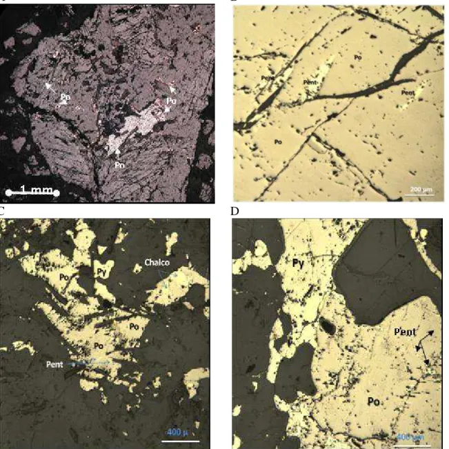 Figure  4.5:  Reflected  polarized  light  views  of  iron  sulfide  minerals  included  in  the  anorthositic gabbro