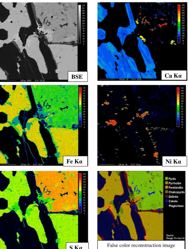 Figure  4.8:  X-ray  microprobe  mapping  of  a  sulfide-bearing  aggregate  particle  in  the  anorthositic gabbro