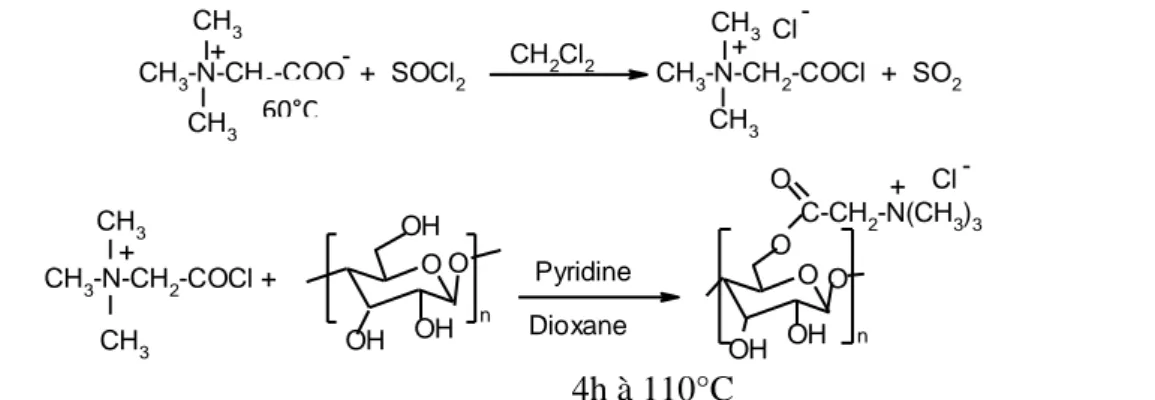 Figure  5.  Formation  de  l’alkyl  bétaïnate  à  partir  de  chloroacétate  d’alkyle  avec  le  triméthylamine