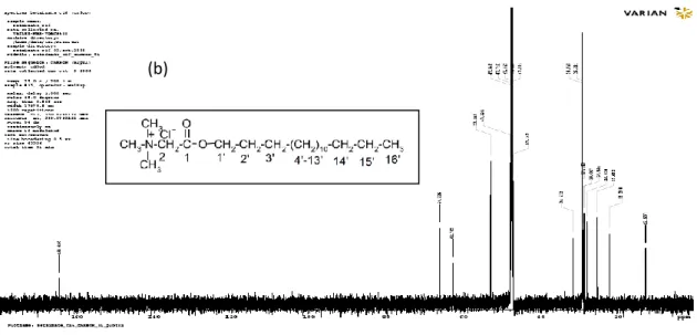Figure 4. NMR spectra of hexadecylbetainate (C 16 BC): proton (a) and carbon (b) 