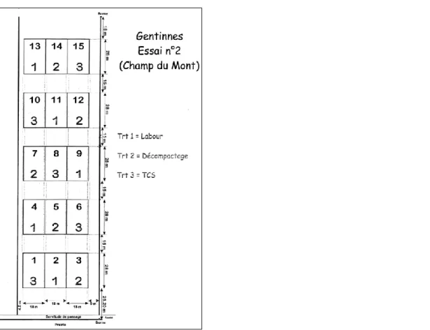 Figure 2-2 : Schéma en carré latin de l’essai au Champ du Mont, Gentinnes (Crédit : Christian  Roisin)