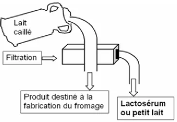 Figure 1.1 : Filtration du lait caillé pour la production du fromage  