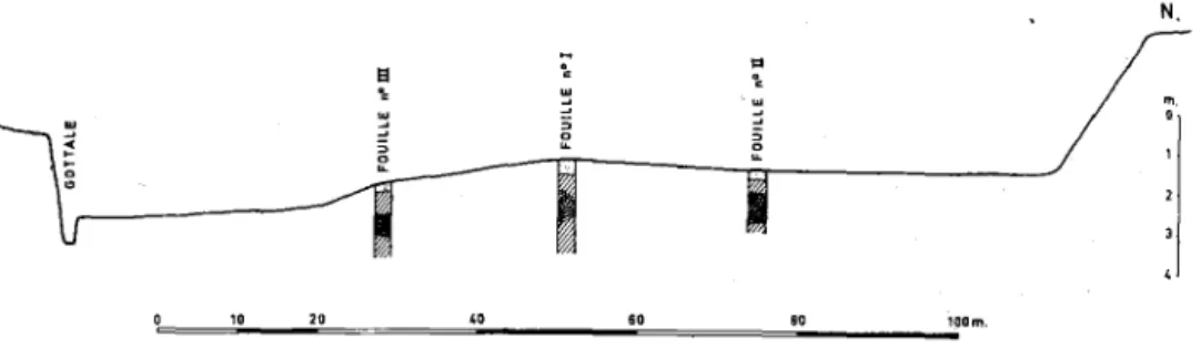 Fig.  2.  - Coupe  transversale  S.  N.  montrant  la  position  altimétrique  des  différentes  fouilles  réalisées  dans  le  vallon  du  Gottale