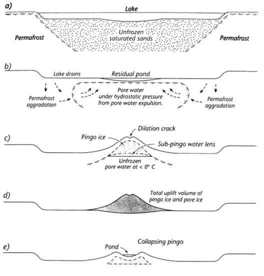 Fig. 10. Diagrams of Mackay (1998) explaining the formation of closed system pingos, or Mackenzie Delta  pingos