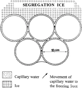 Fig. 12. Schematic representation of how segregation ice lenses are fed by water migrating through the soil  capillaries.