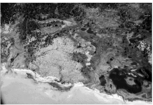 Fig. 17. Aerial view of the lithalsic plateau located along the sea and studied by Allard et al