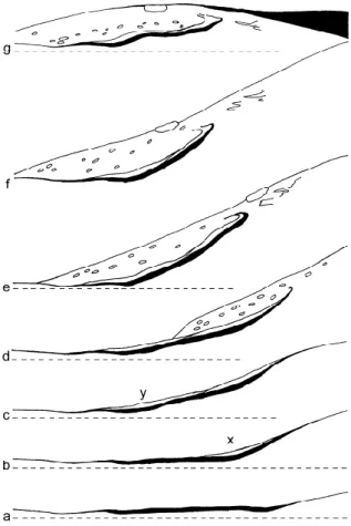 Fig. 7. Ground ice accumulation has pushed aside the deep layers, increasing their thickness