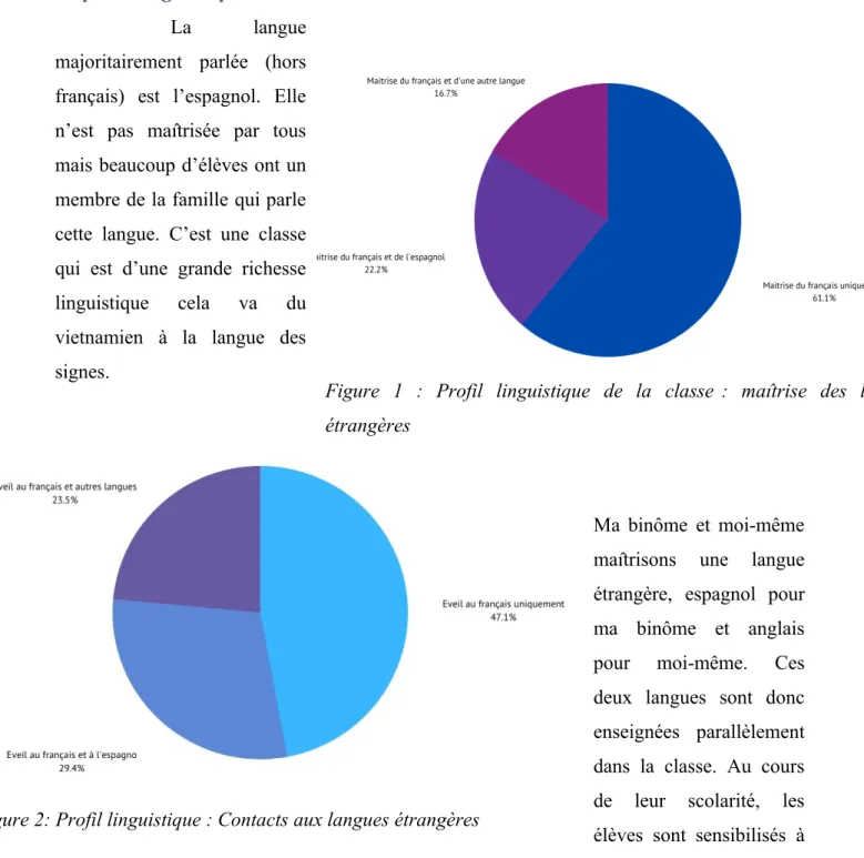 Figure   1   :   Profil   linguistique   de   la   classe :   maîtrise   des   langues étrangères 