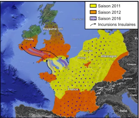 Figure 3: Schéma général des tendances principales de l’épidémie de SBV en Europe de l’Ouest