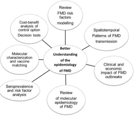 Figure 8: Summary of the mains objectives of the thesis 