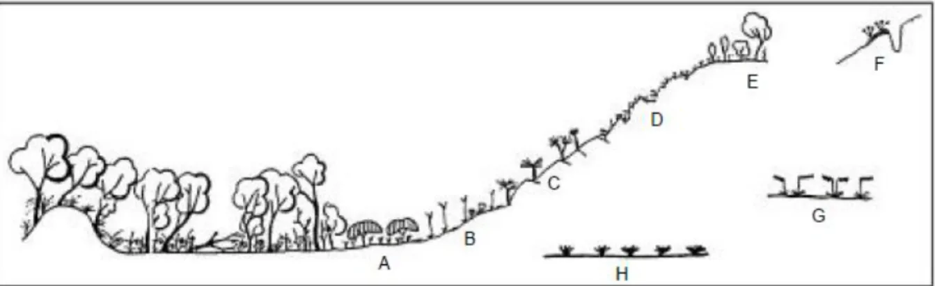 Figure 2-8. Les huits communautés végétales  caractéristiques des sols métallifères de l’Arc cuprifère