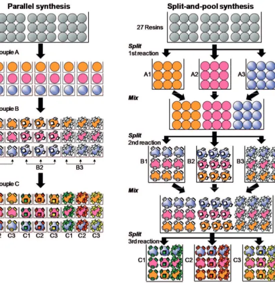 Figure 8. Synthetic approaches used in combinatorial chemistry: the parallel synthesis  method (left) and the split-and-pool synthesis method (right)