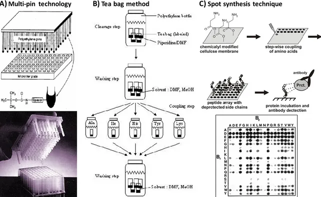 Figure 10. Techniques based on the spatially addressable parallel library strategy. (A)  Multi-pin technology, (B) Tea bag method and (C) Spot synthesis technique