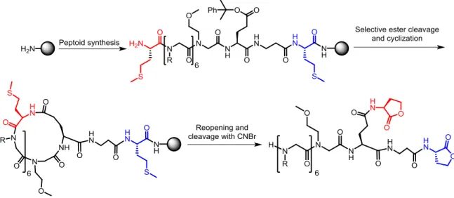 Figure 22. The dual ring-opening/cleavage strategy described by Simpson and Kodadek. 127