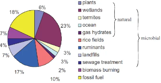 Figure 9 : Sources de méthane globales en pourcentage du budget total d’environ 500-600 Tg  CH 4 /an (Conrad 2009).
