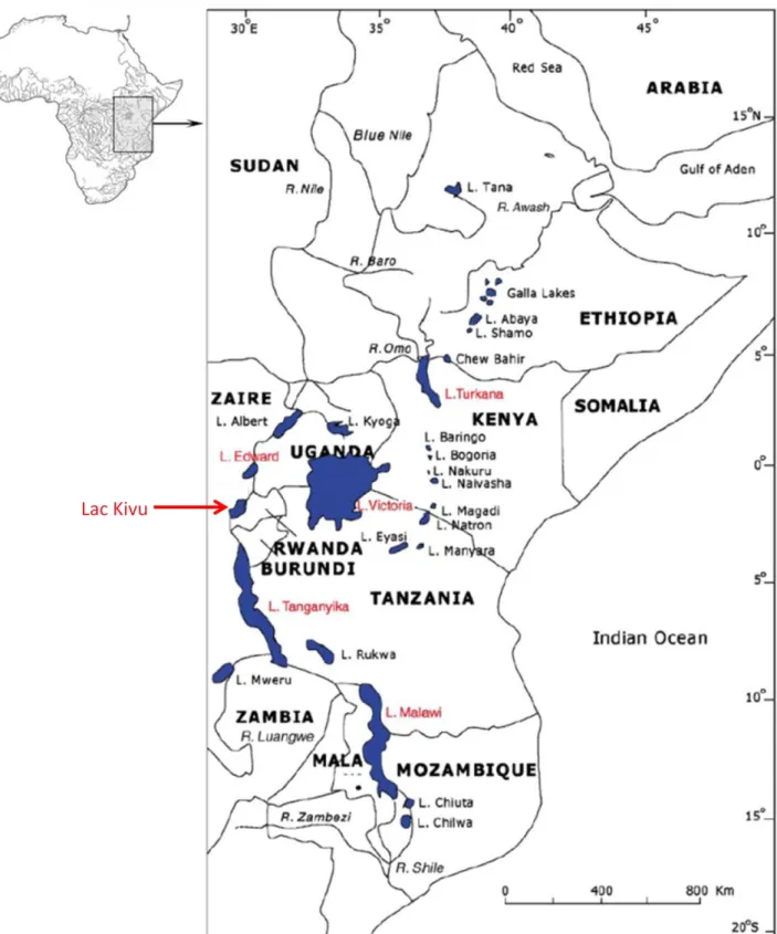Figure 11 : Grands lacs de la vallée du Rift. Modifié d’après Odada et al. (2003).  