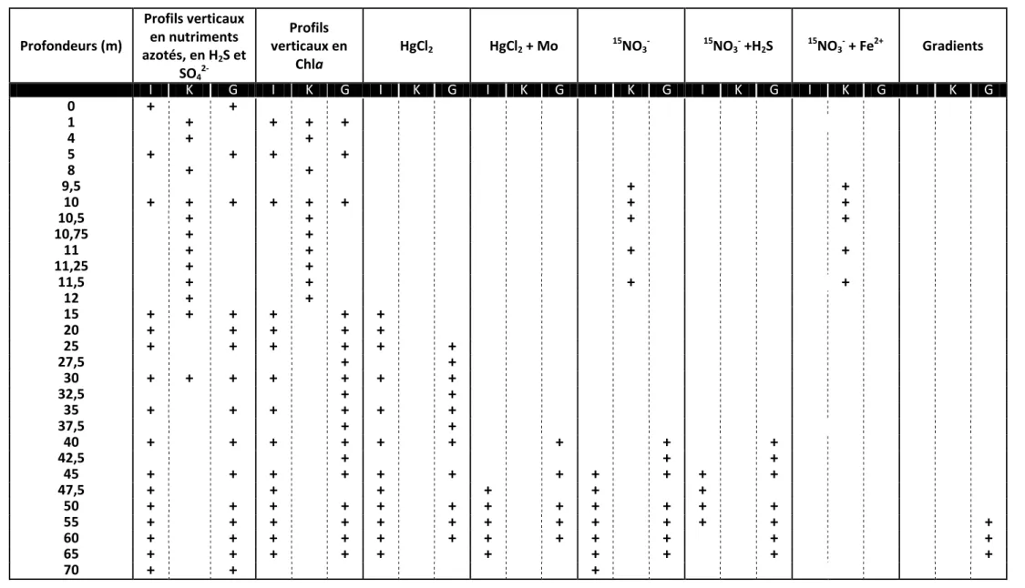 Tableau 2 : Profondeurs échantillonnées aux différentes stations (I : Ishungu, K : Kabuno, G : Gisenyi) en fonction des différents traitements appliqués