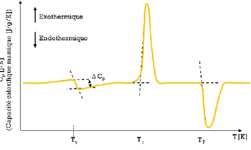 Figure 1. 3. Thermogramme théorique de capacité calorifique 